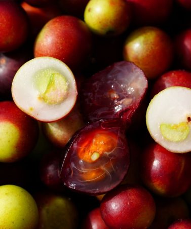 Camu Camu